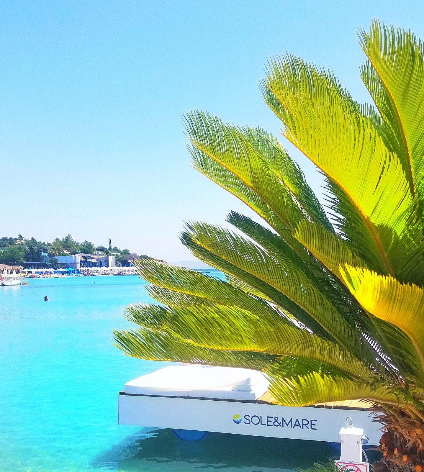 Sole Mare Ayayorgi 2024