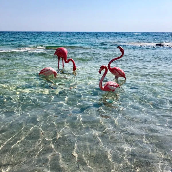 Paradiso Beach Alaçatı 2020