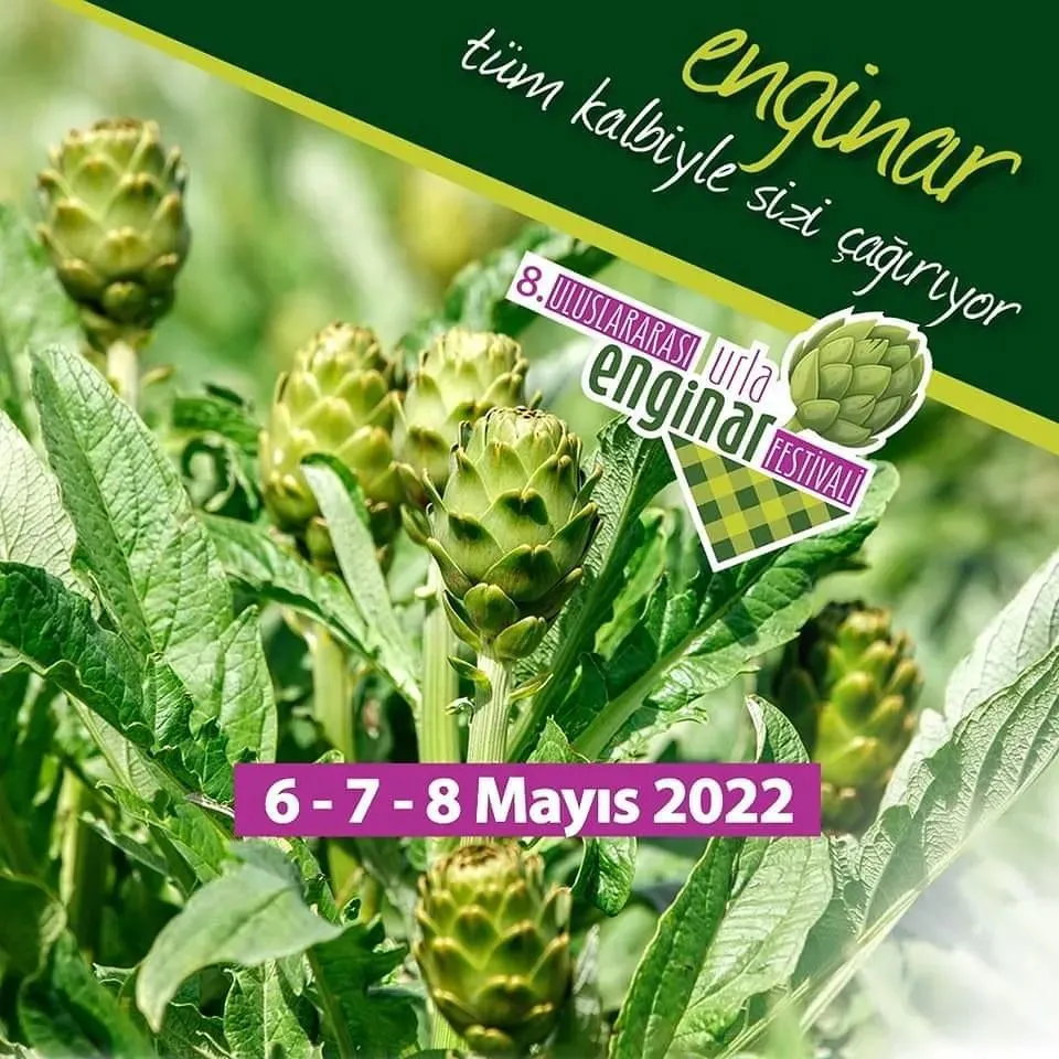Urla Enginar Festivali 2022