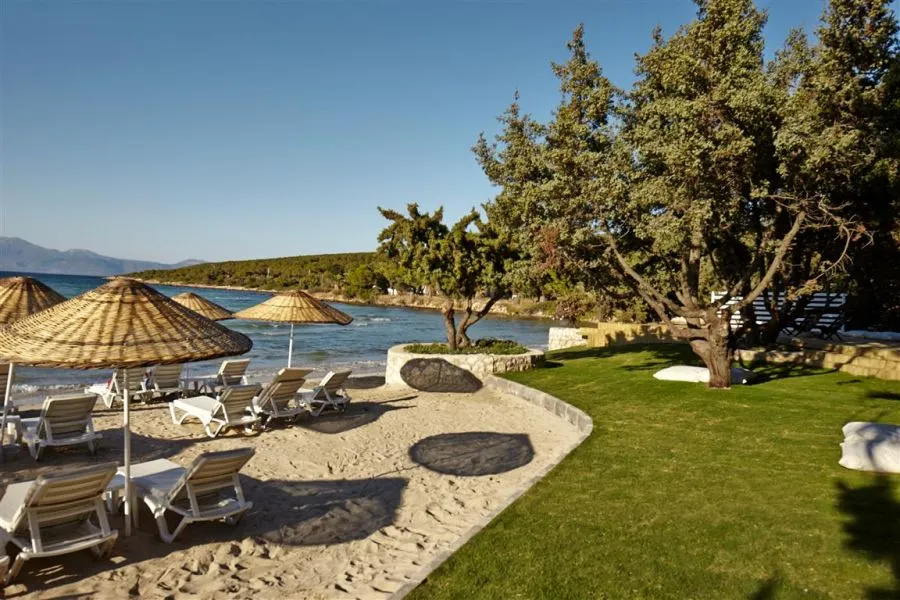 Aquente Beach Paşalimanı